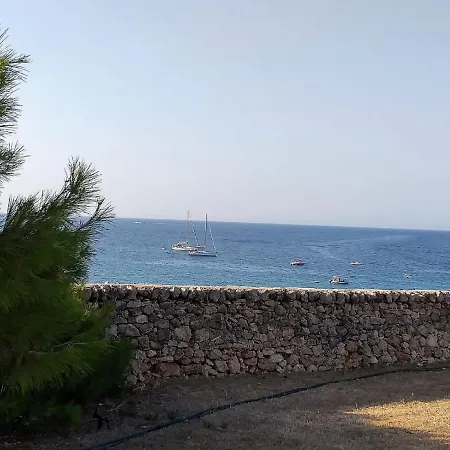 Trullammare