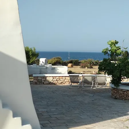 Trullammare