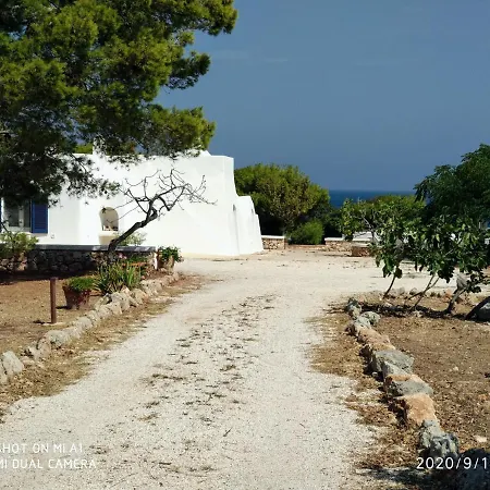 Trullammare *