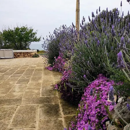 Villa Trullammare *