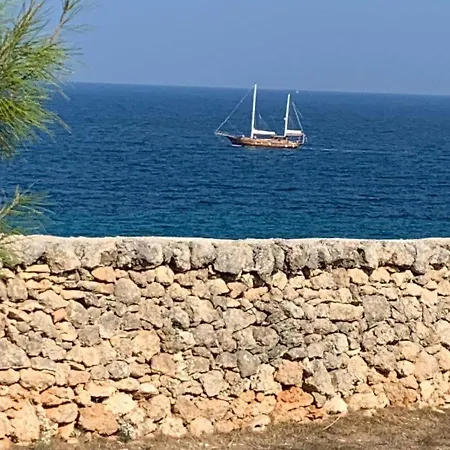 Trullammare