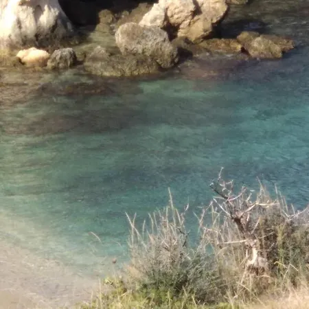 Trullammare *