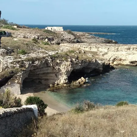 Trullammare